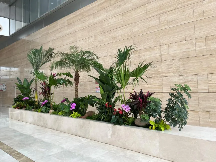 揭秘前湾绿化修剪哪家好，让绿植焕发生机！